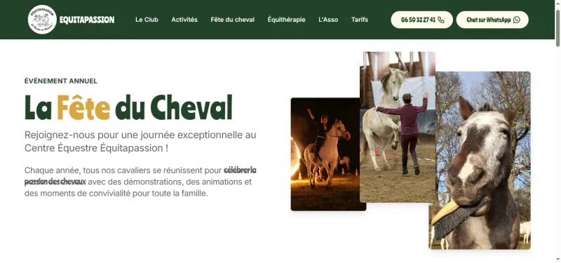 Chevaux du centre équestre Équitapassion sur les plateaux ardéchois